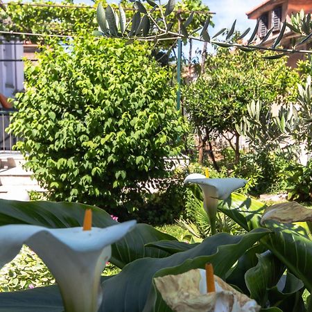 Marjan Hill 3-Br Apt,5 Guests Private Garden Near Beach Split Ngoại thất bức ảnh