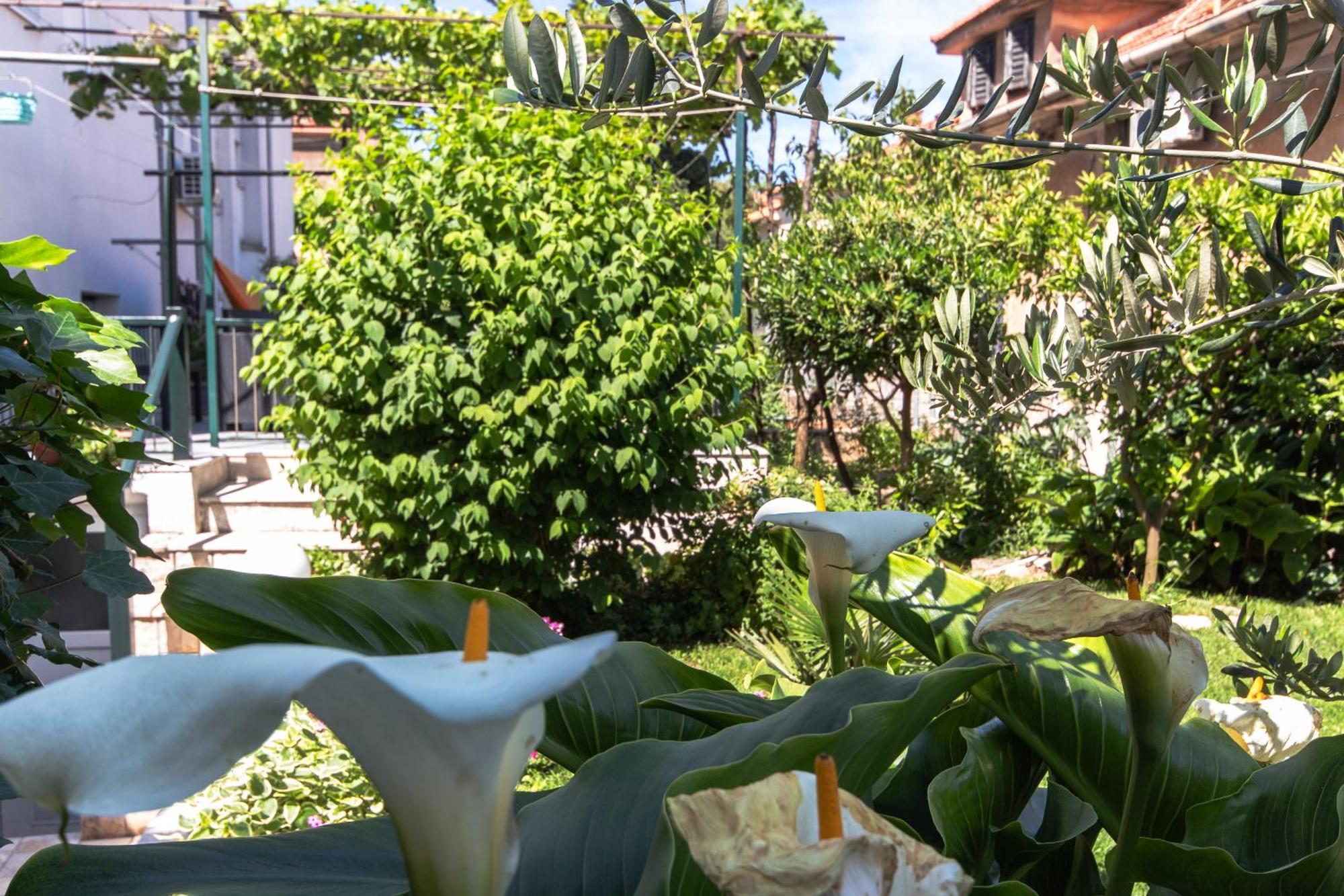 Marjan Hill 3-Br Apt,5 Guests Private Garden Near Beach Split Ngoại thất bức ảnh
